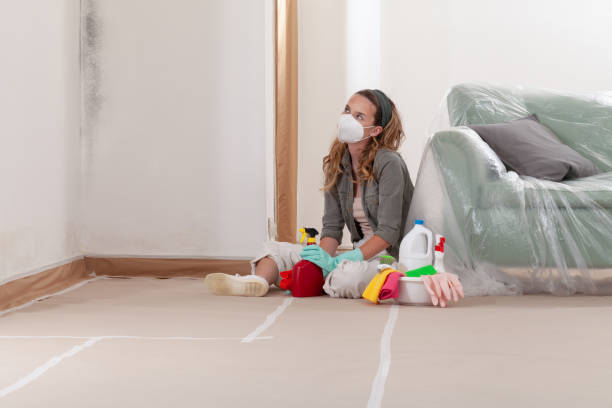 Reliable Mold Testing contractor in Merion Station, PA by WQB Mold Removal